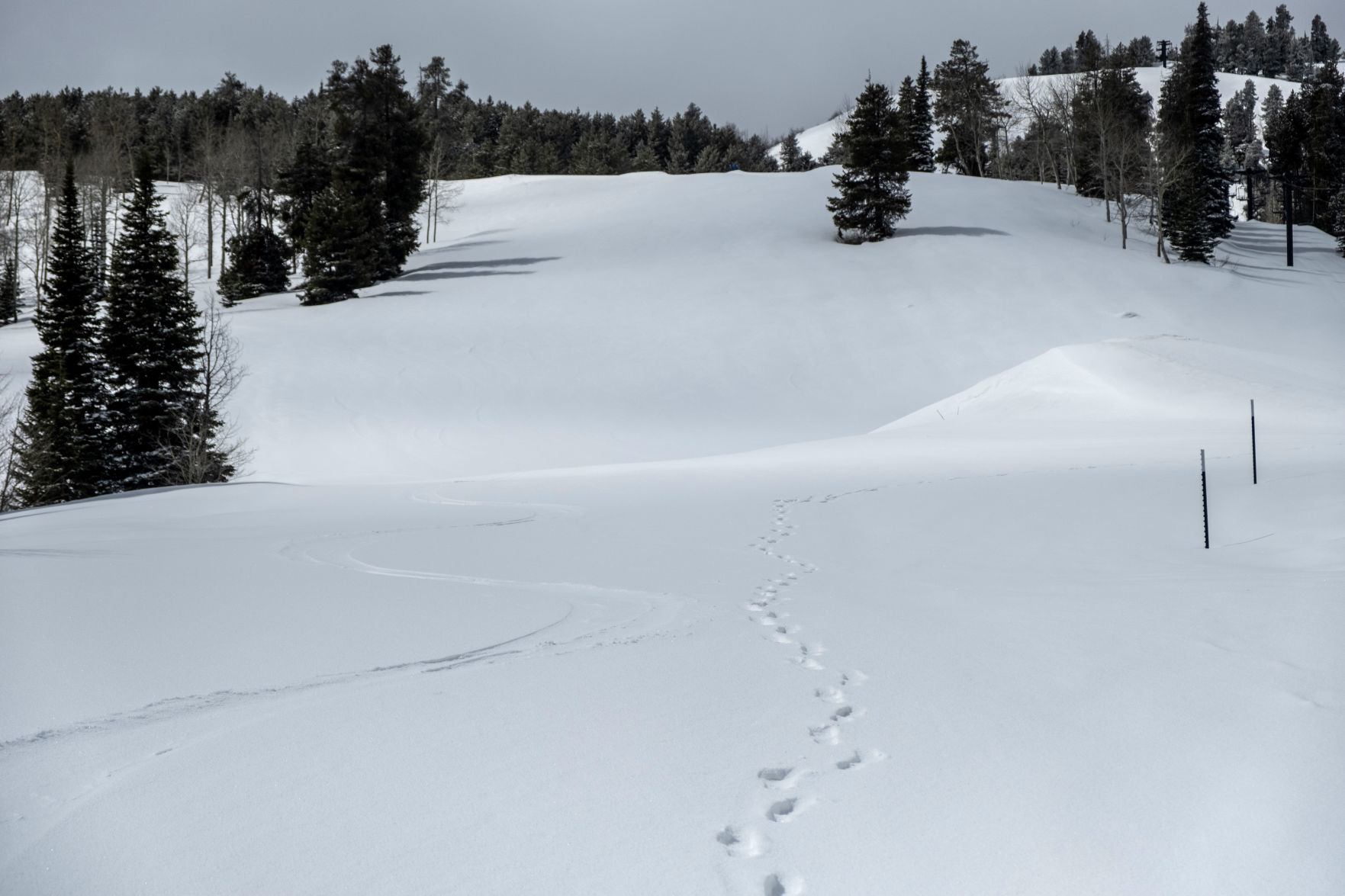 Skiing after the pandemic